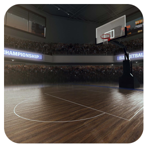 Basketball Court