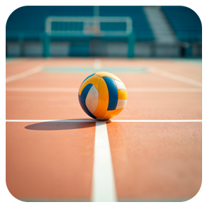 Volleyball Court